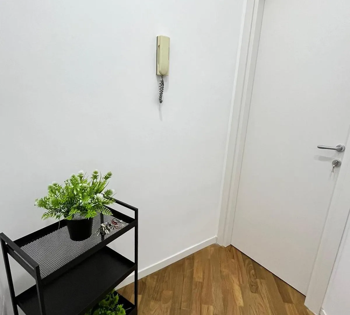 Dream House Apartment Naples Italy